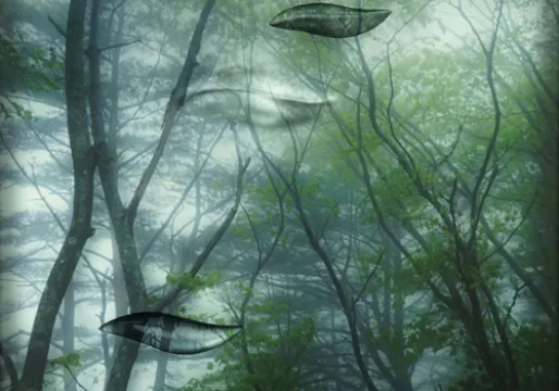 Forest plate glass/soda glass 54 x 38 x 5 cm coldworking and photo by Soha Jeong