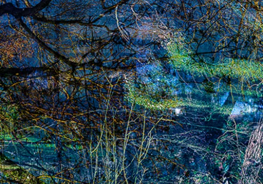 Le chemin vers la rivière by Jean-Charles Neufcour (France)