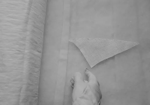 Vision Blanche - Anna Laura Longo